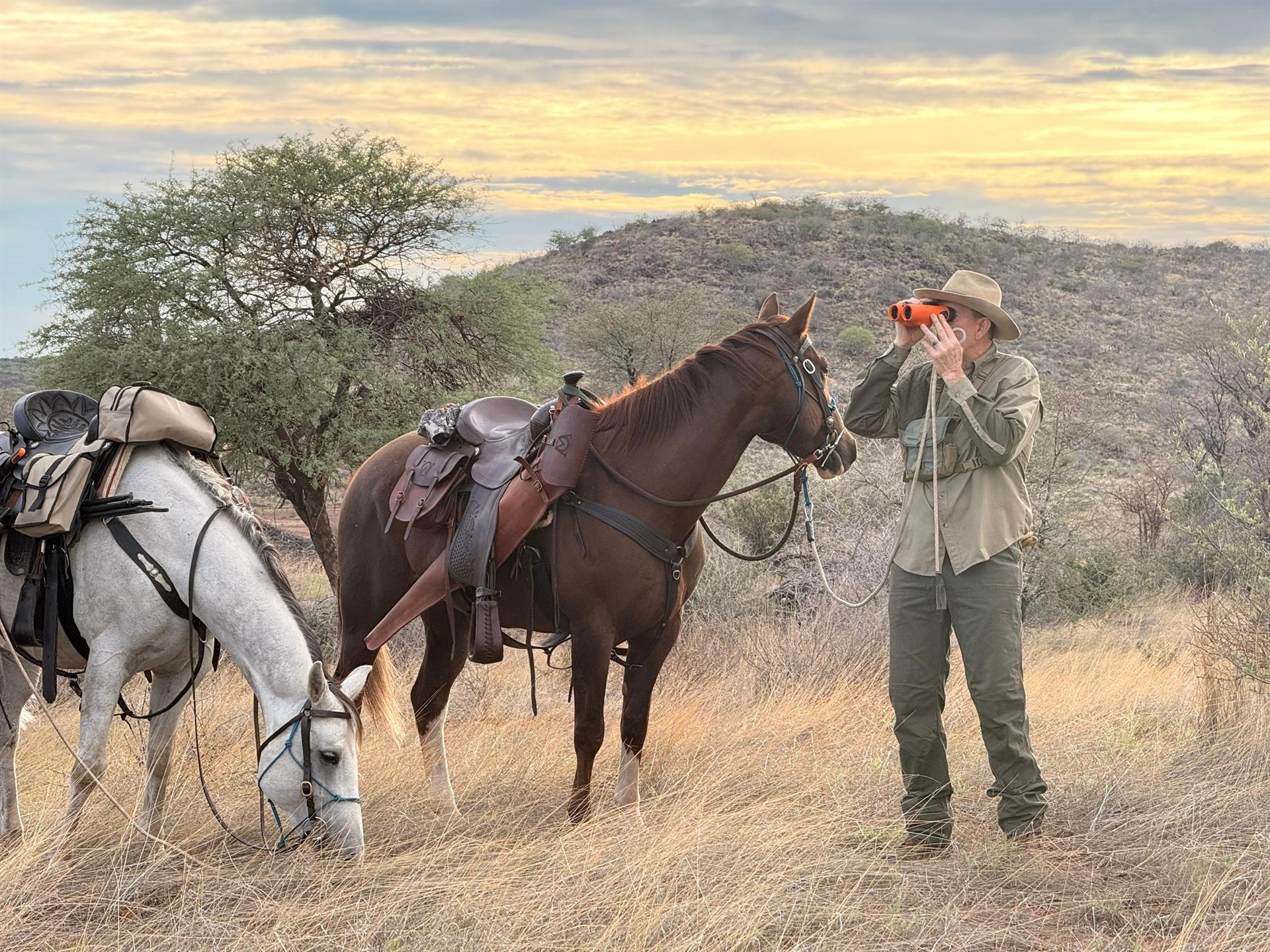 Glassing the horizon at golden hour