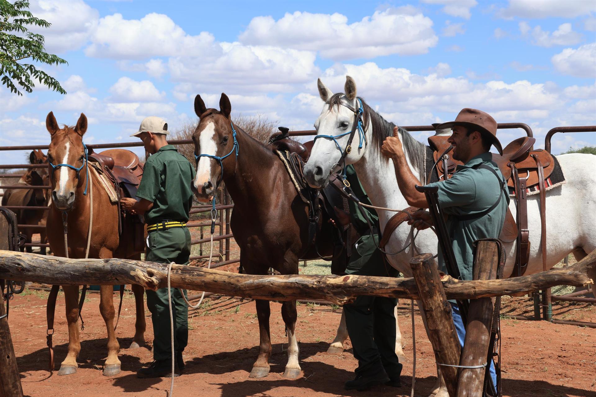Saddling up at the corral