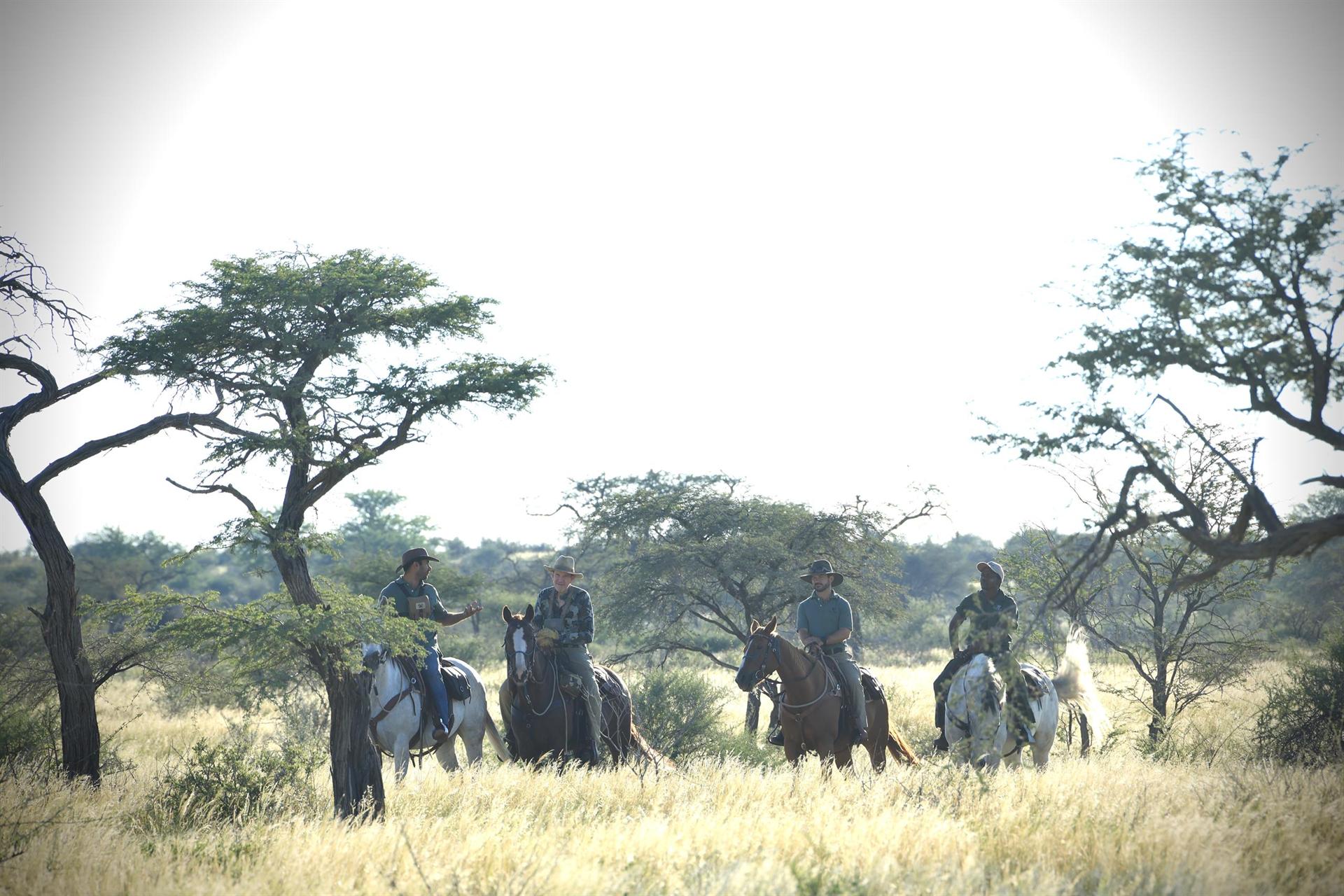 Riders crossing the bushveld
